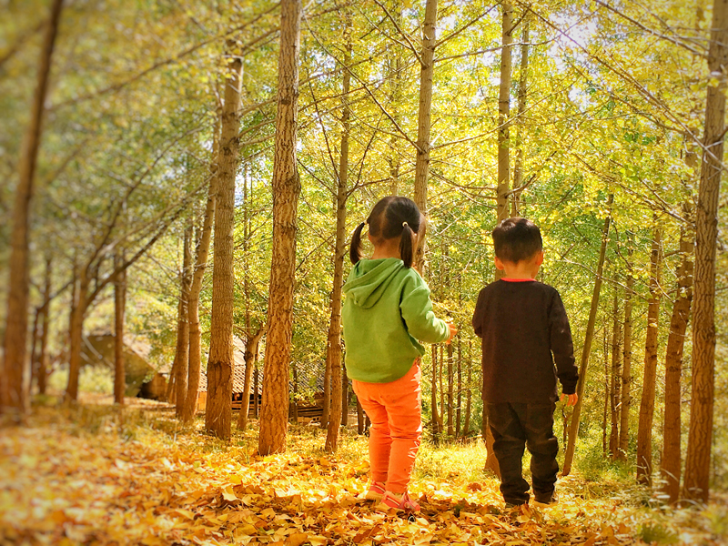 1543826019301128.jpg 22.jpg