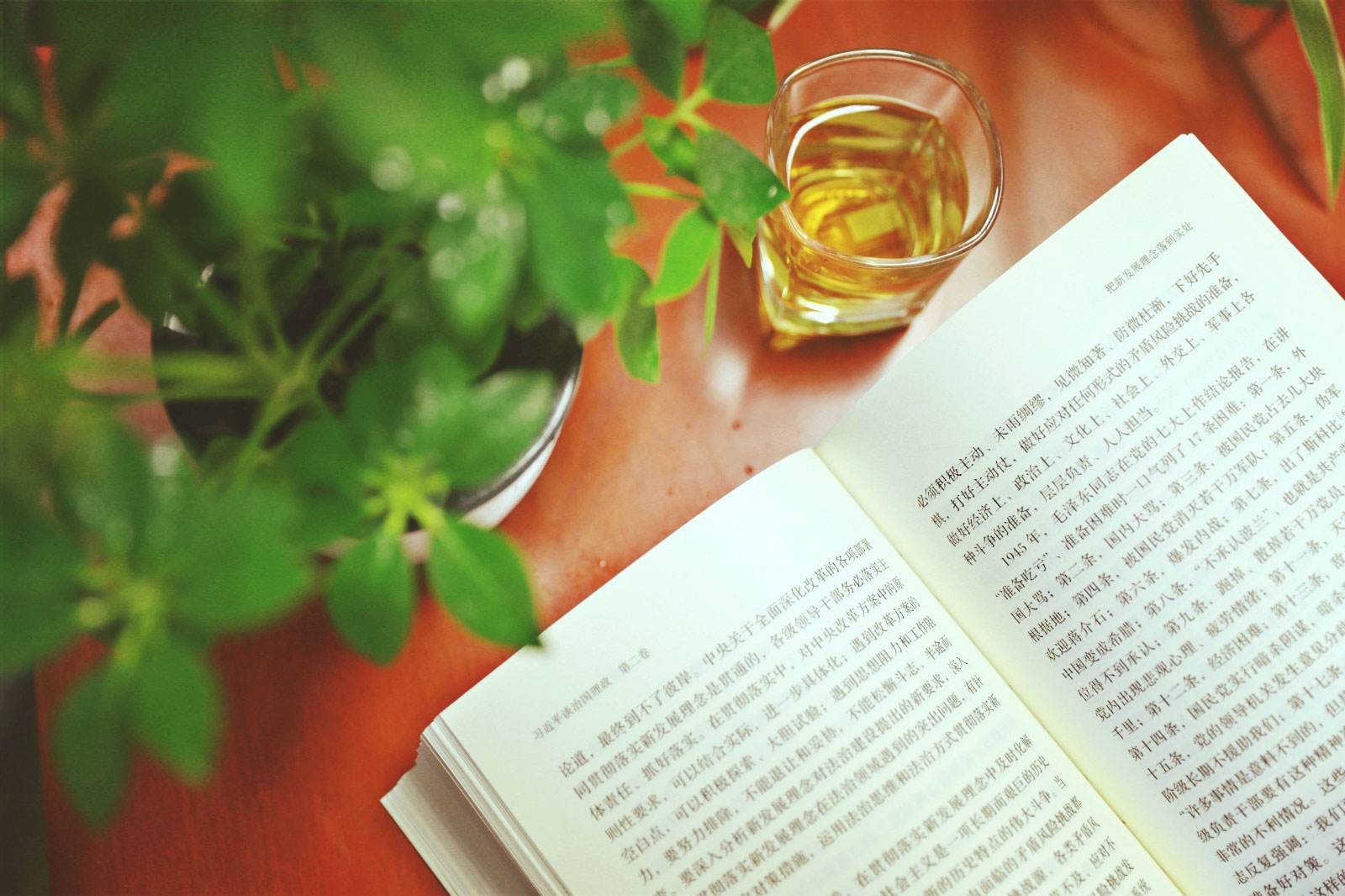 1567762278981552.jpg 養成閱讀習慣.jpg